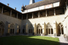image Ain_11.jpg
