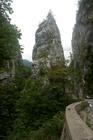 image Chartreuse_12.jpg