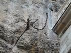 image Massif-Central_012.jpg