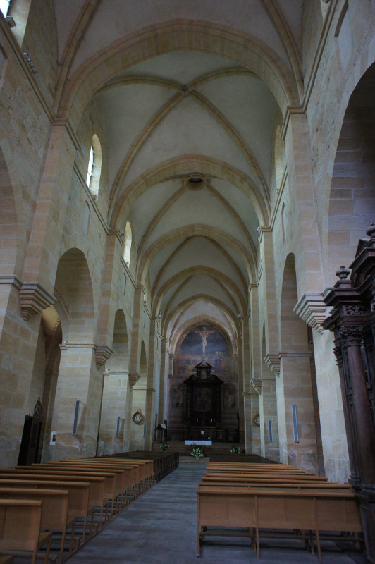 image Roannais_11.JPG