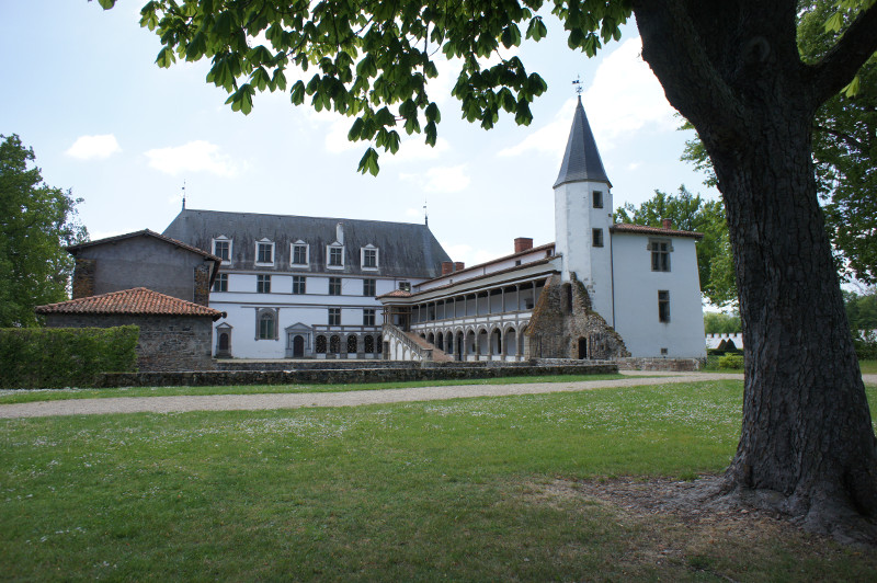 image Roannais_42.JPG