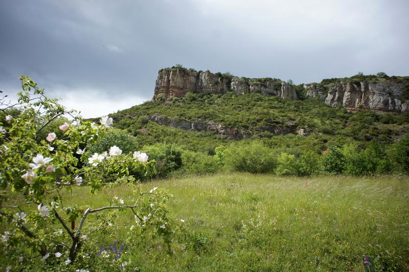 image Solutre_08.jpg