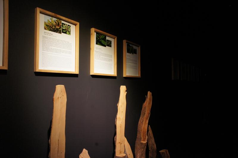 image Acores_005.jpg