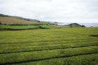 image Acores_046.jpg