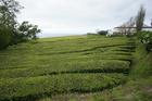image Acores_049.jpg