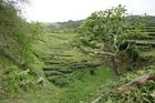 image Acores_050.jpg
