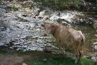 image ARMENIE_014.jpg