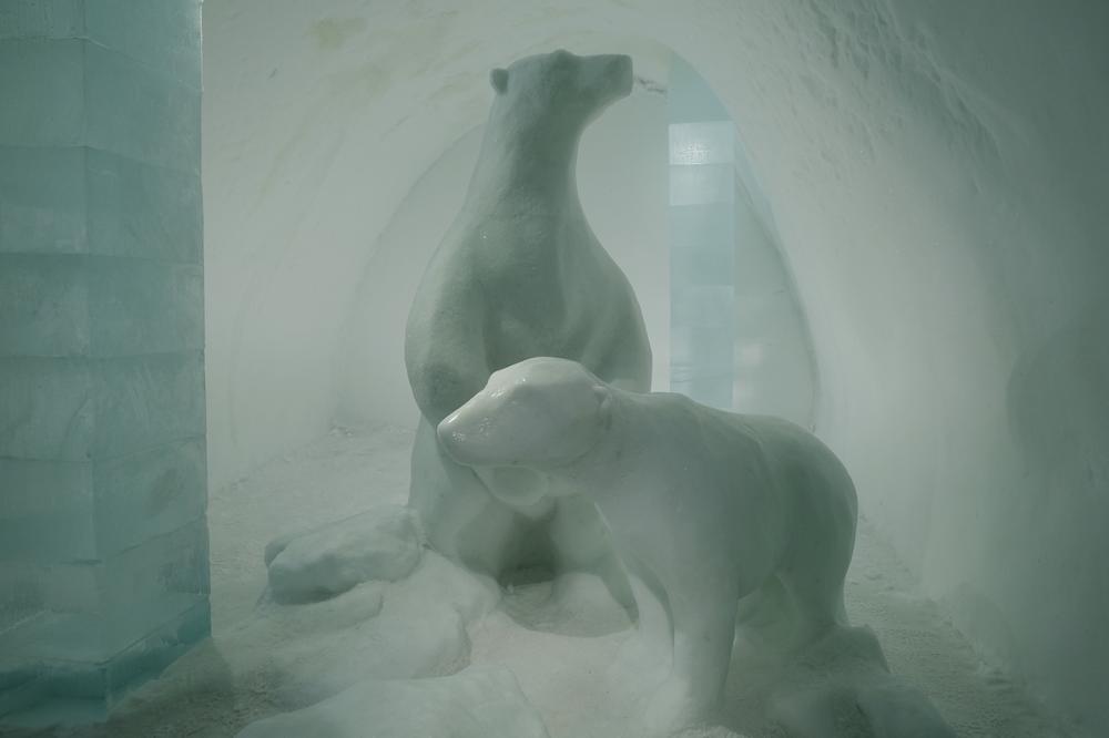 image AURORES_037.jpg