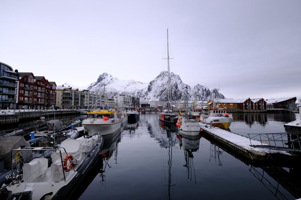image AURORES_070.jpg