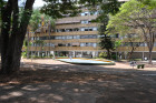image Bresil_001.jpg