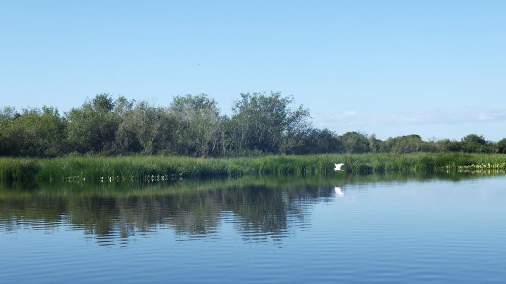image BRESIL2_040.jpg