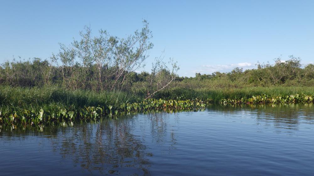 image BRESIL2_048.jpg