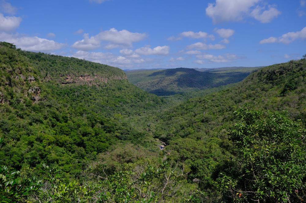 image BRESIL2_389.jpg