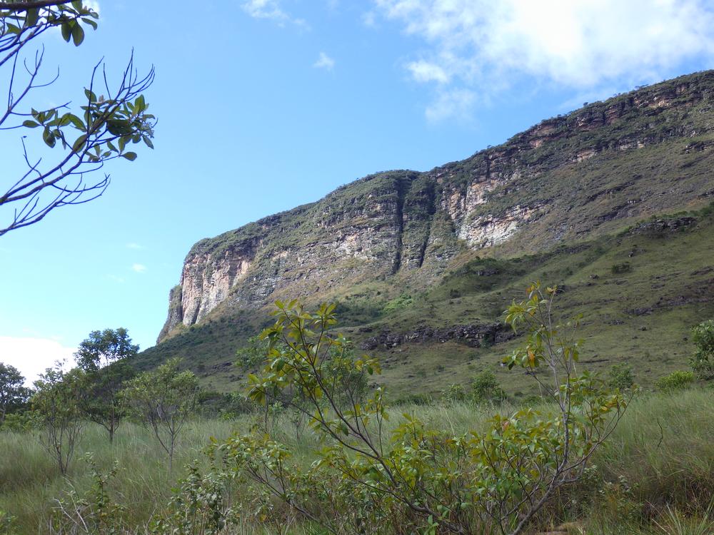 image BRESIL2_468.jpg