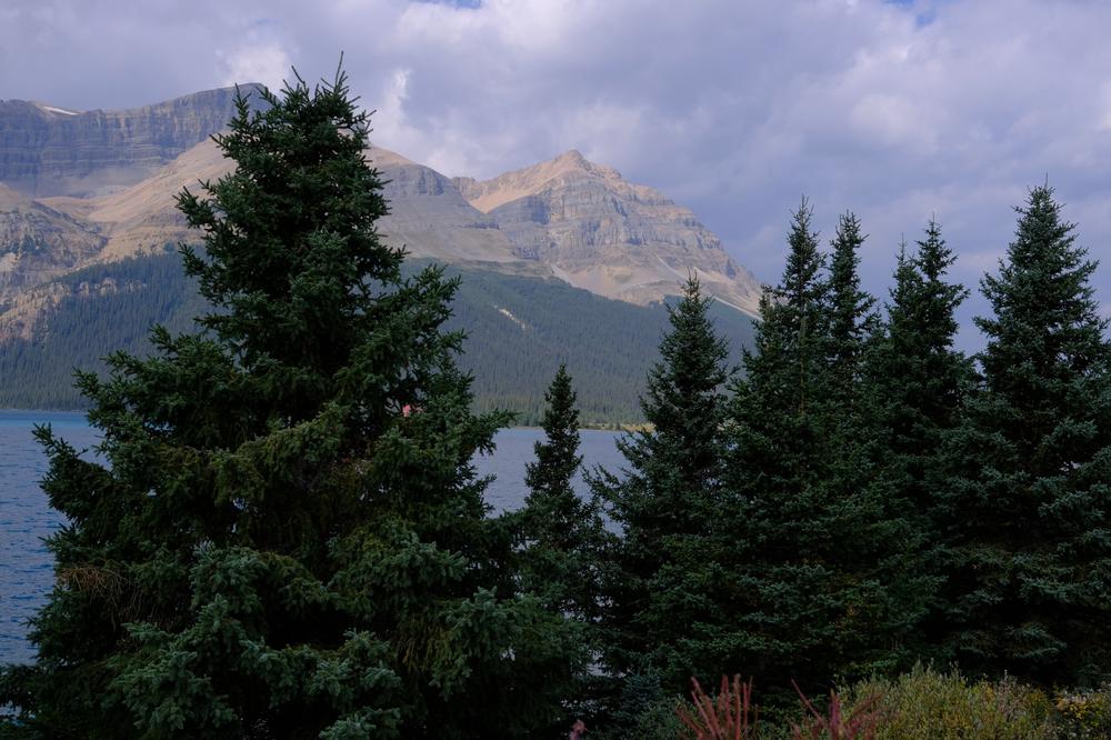 image CANADA-2024_065.jpg