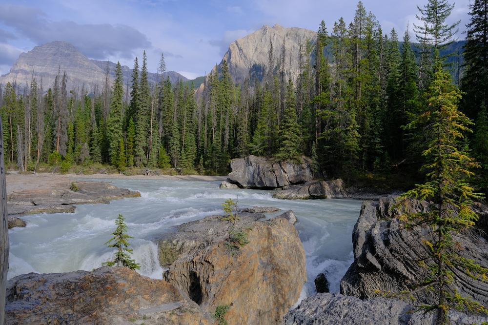 image CANADA-2024_090.jpg