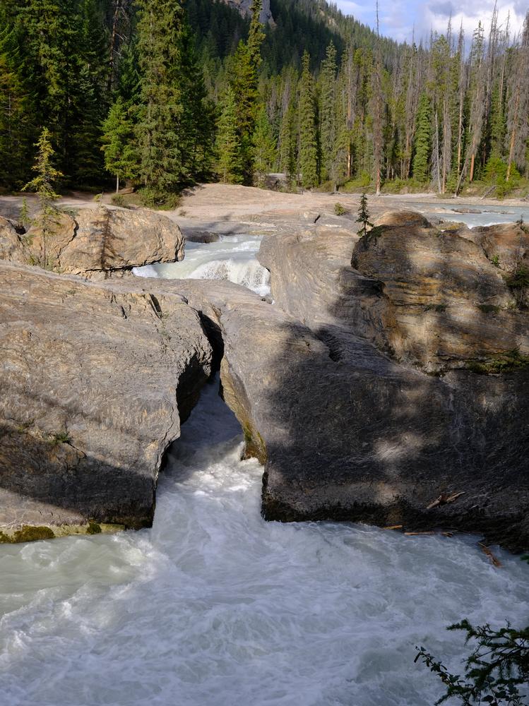 image CANADA-2024_091.jpg
