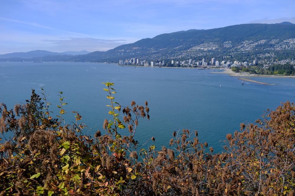image CANADA-2024_180.jpg