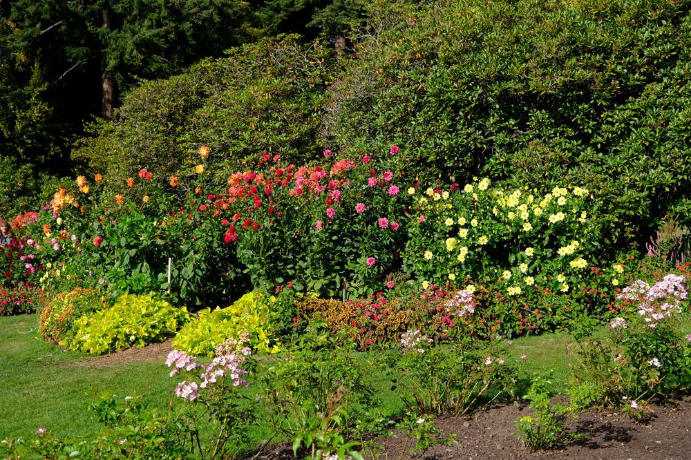 image CANADA-2024_183.jpg