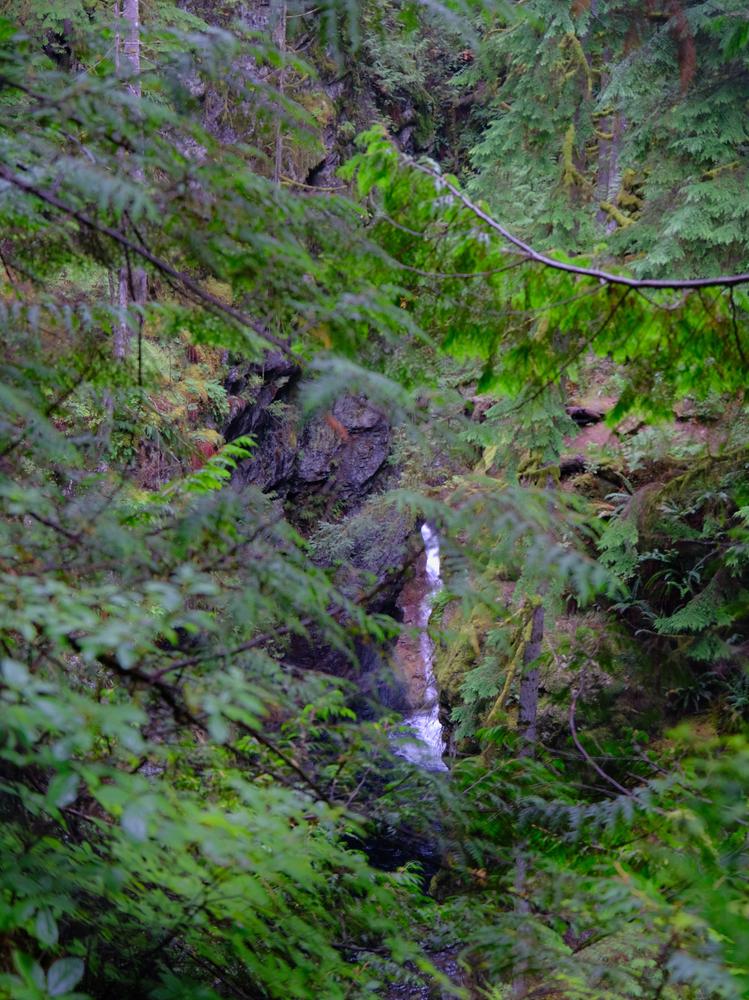 image CANADA-2024_220.jpg