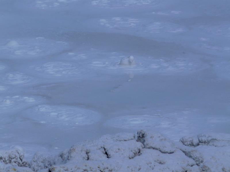 image CanadaYellowstone2012_023.jpg
