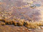 image CanadaYellowstone2012_019.jpg