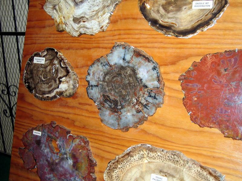 Image Canada_22.jpg