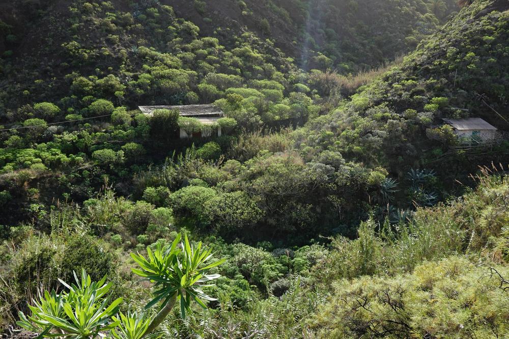 image CanariesGomera_04.jpg