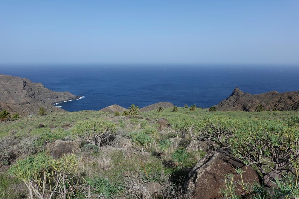 image CanariesGomera_06.jpg