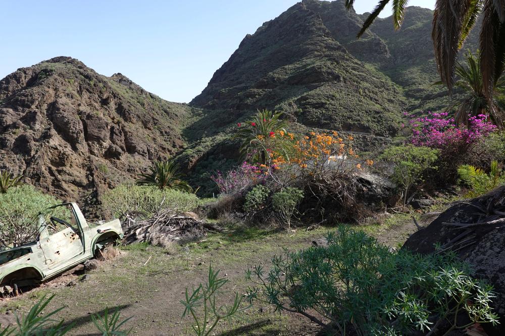image CanariesGomera_07.jpg