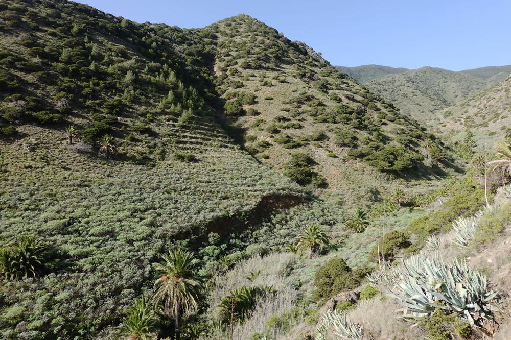 image CanariesGomera_19.jpg
