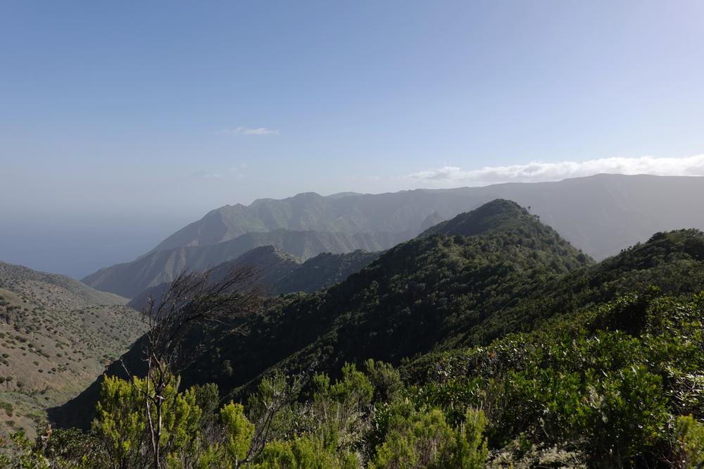image CanariesGomera_20.jpg