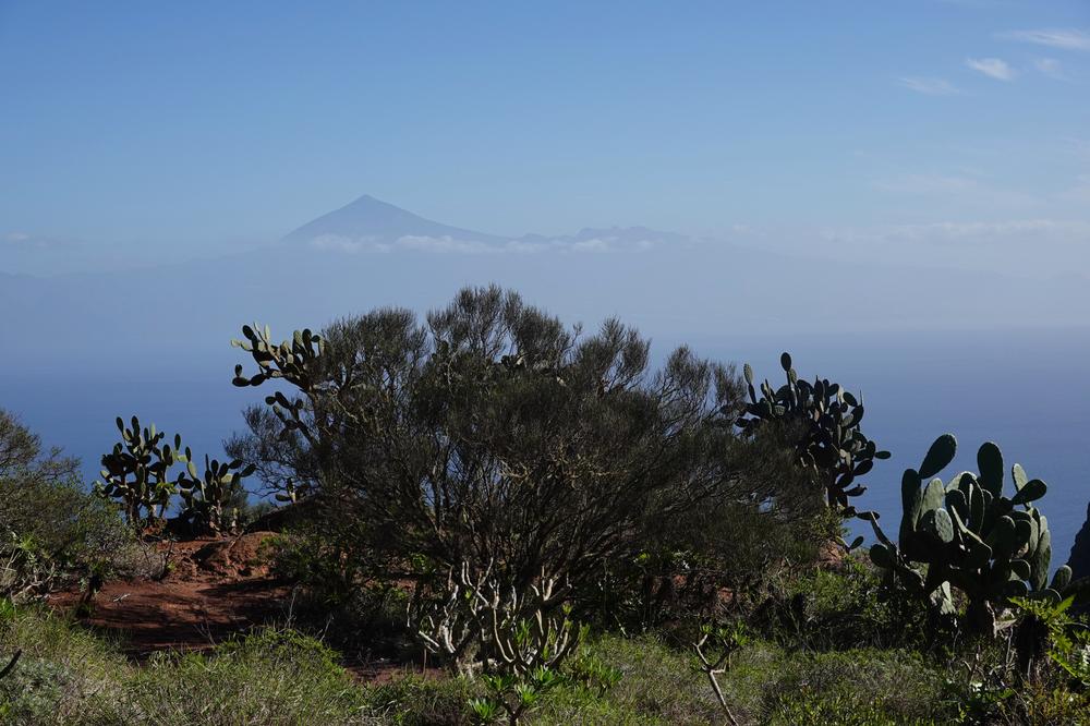 image CanariesGomera_41.jpg