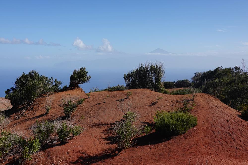 image CanariesGomera_44.jpg