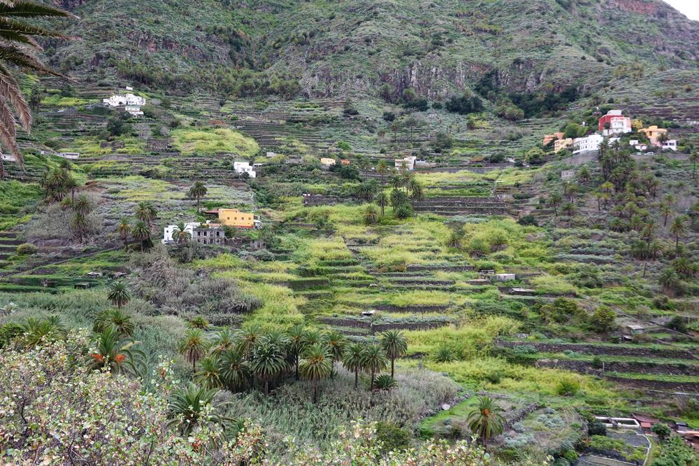 image CanariesGomera_62.jpg