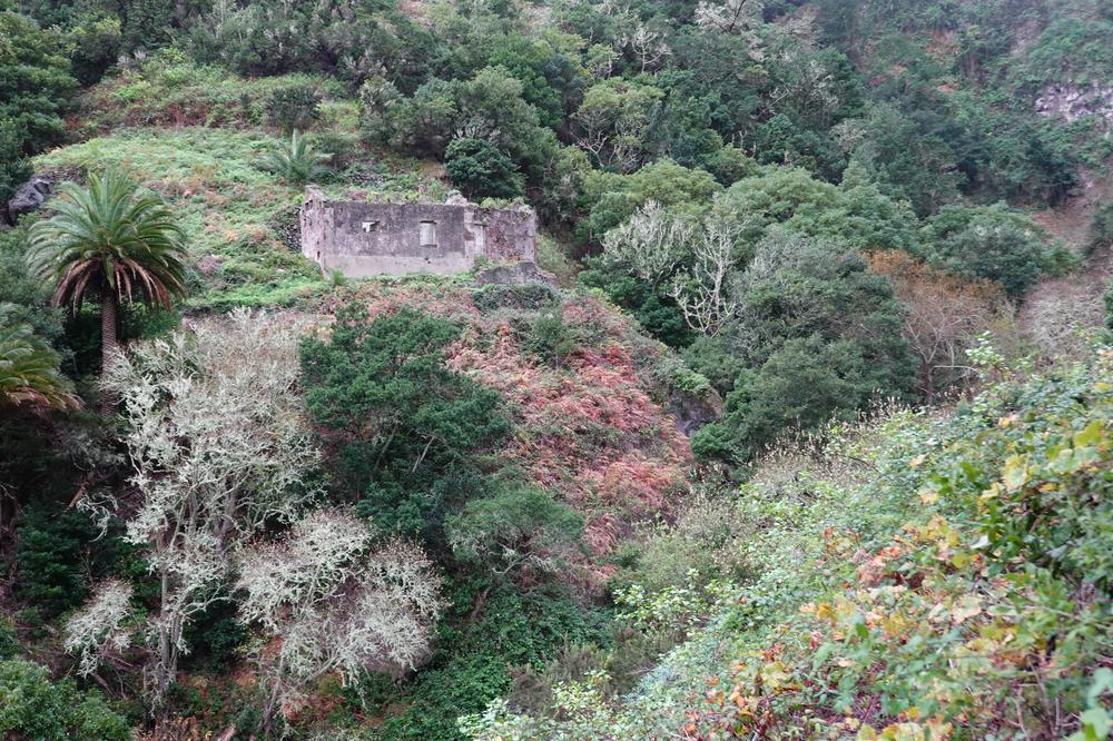 image CanariesGomera_66.jpg