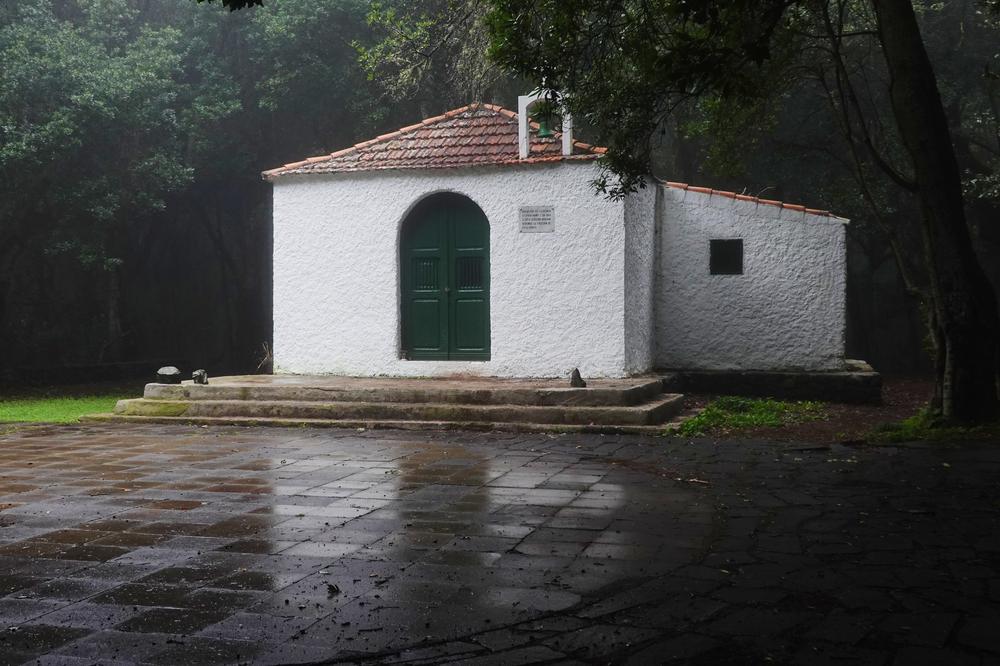 image CanariesGomera_67.jpg