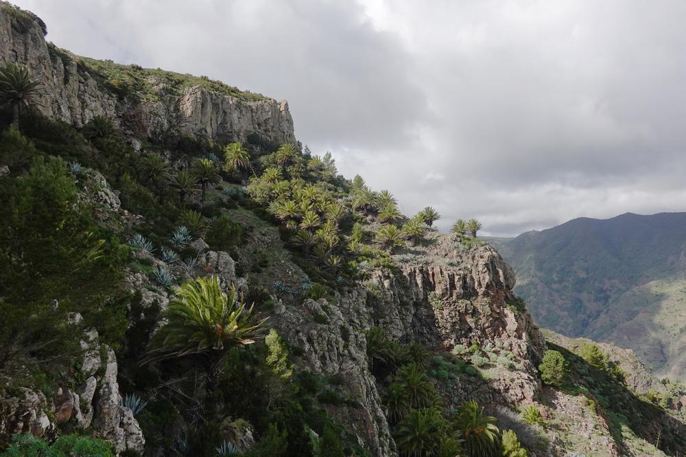 image CanariesGomera_83.jpg