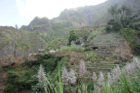 image CapVert_044.jpg