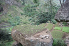 image CapVert_045.jpg