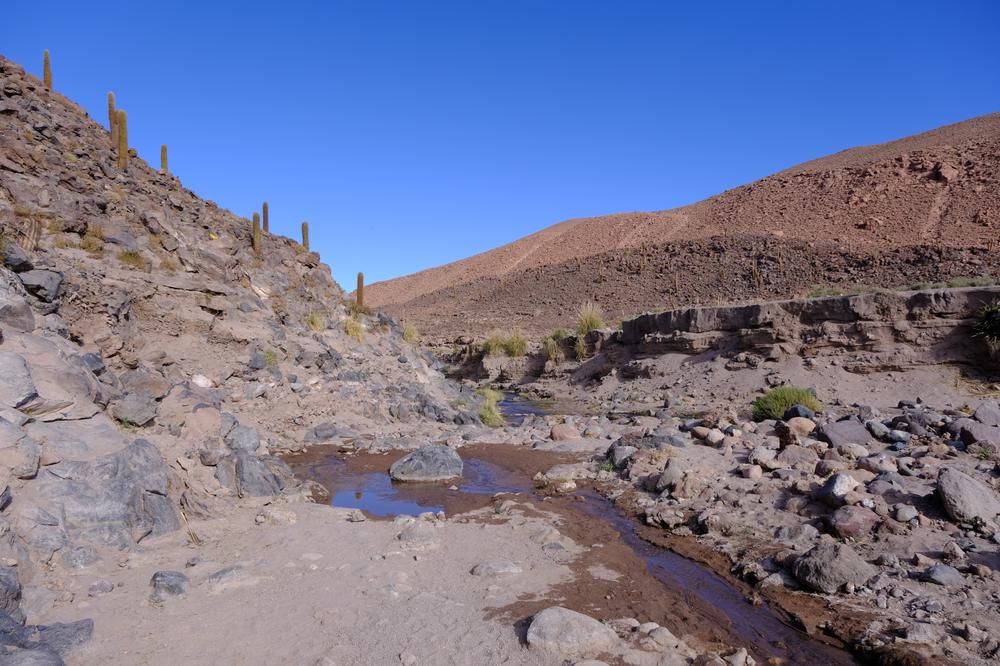 image ChiliBolivie_047.jpg