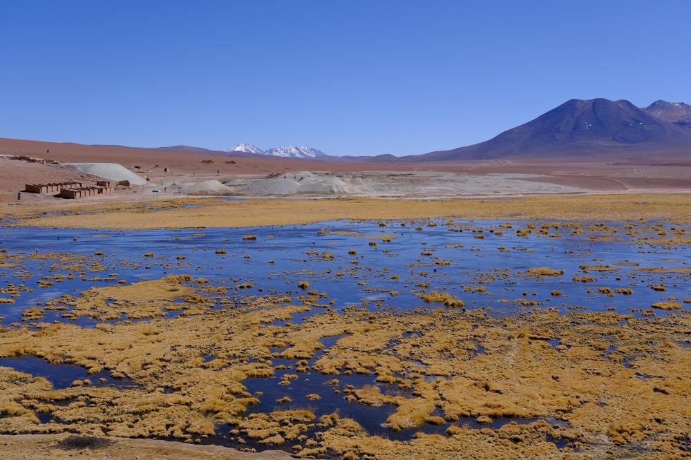 image ChiliBolivie_087.jpg