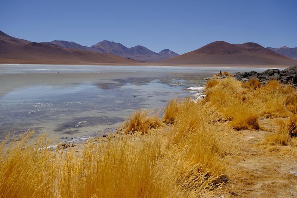 image ChiliBolivie_103.jpg