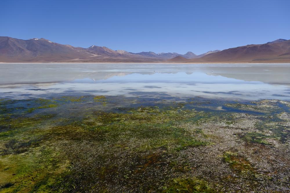 image ChiliBolivie_106.jpg