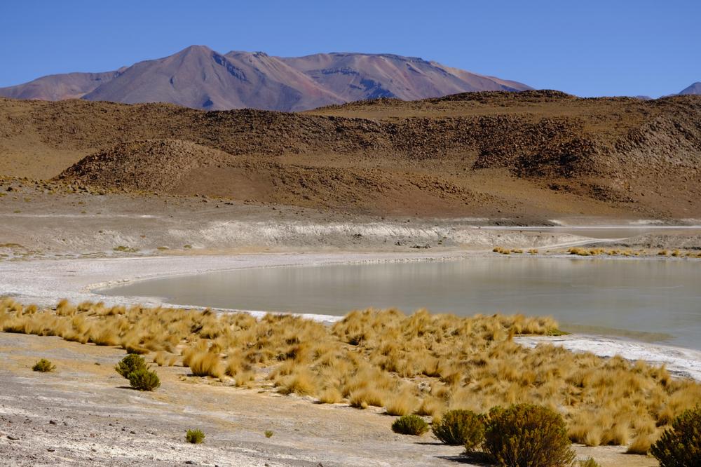 image ChiliBolivie_149.jpg