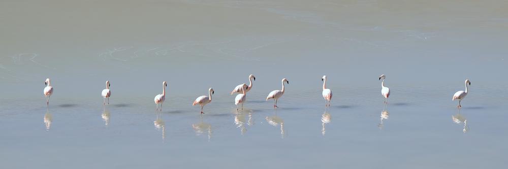 image ChiliBolivie_150.jpg