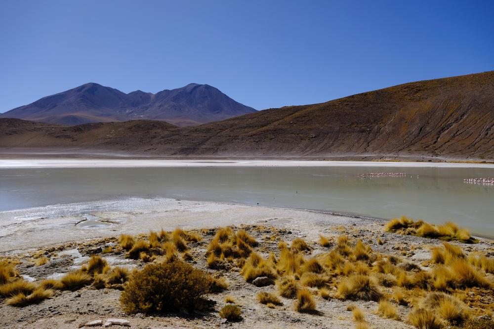 image ChiliBolivie_153.jpg