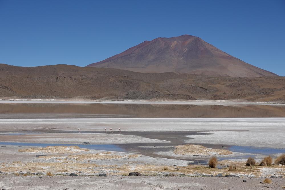 image ChiliBolivie_155.jpg