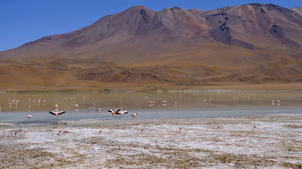 image ChiliBolivie_157.jpg
