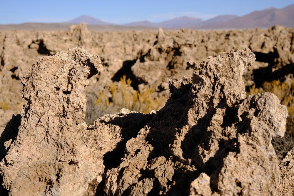 image ChiliBolivie_179.jpg